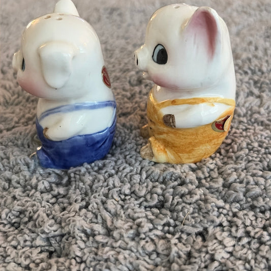 Brinns Pig Salt and Pepper Shaker Set